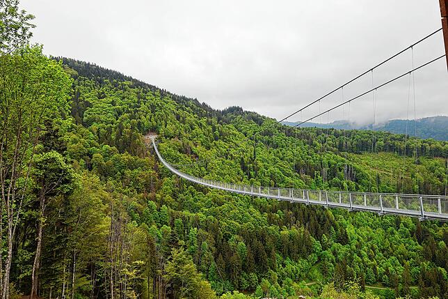 110 Höhenmeter über dem Grund thront die Hängebrücke „Blackforestline“ und führt über den Todtnauer Wasserfall. Das Bild ...