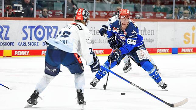 Johannes Huß trug vier Jahre das Trikot der Schwenninger Wild Wings.