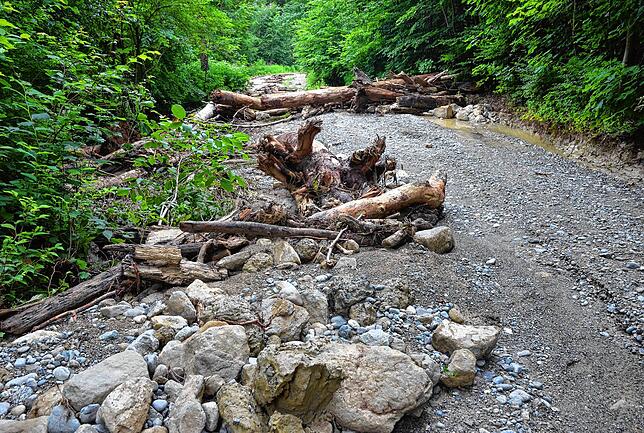 Das Wiederherstellen der Markdorfer Wanderwege nach dem Starkregen im Juni 2024 hat die Stadt viel Geld gekostet. (Archivbild)
