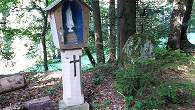Bei der Wanderung durch den Hotzenwald spüren die Teilnehmerinnen Kraftquellen im Hotzenwald nach.