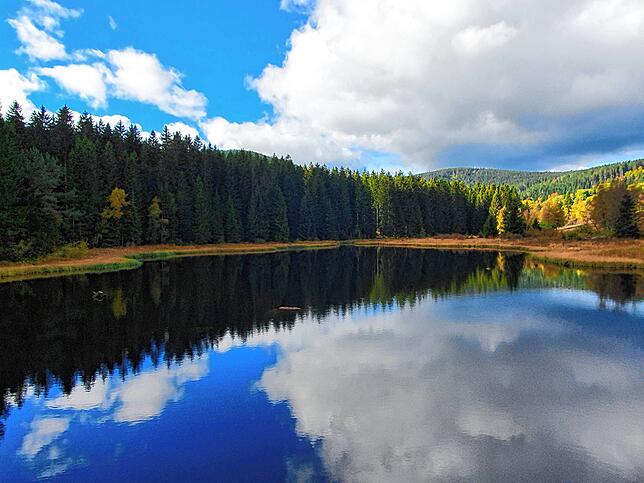 Bild 2: So schön ist der goldene Oktober: Leserreporter zeigen ihre schönsten Herbst-Impressionen