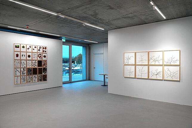 Blick in die neuen Räumlichkeiten: Am Seerhein hat die Galerie Geiger zeitgemäßere Bedingungen gefunden.