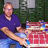 Daniel Riedlinger, Geschäftsführer des Fruchthofs Konstanz, zeigt auf die frischen Himbeeren aus der Region. Die Preise für Obst ...