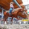 Ob beim Westernreiten (Bild) oder beim Gala-Abend: In sechs Messehallen sollen sich Messebesucher informieren können und unterhalten werden.