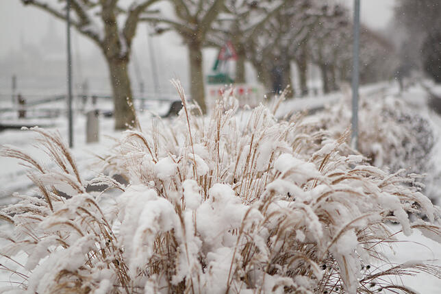 Bild 13: Bilder: So sieht der Winter in Konstanz aus