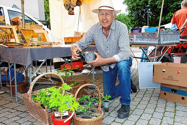 Neben Büchern und gerahmten Kunstdrucken bietet Martin Rossknecht aus Unterhomberg auch selbst gezogene Pflanzensetzlinge an.