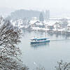 Die Waldshut-Tiengen hatte auf der Überfahrt keine Probleme. Für Eisberge auf dem Rhein ist es noch immer zu warm. Bild: Peter Rosa