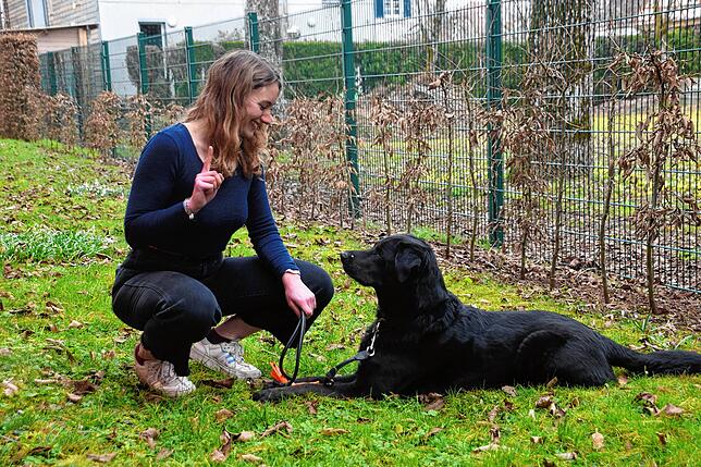 Louisa Kuhn aus Salem mit ihrem Hund Samy. Die junge Frau aus Salem findet einen Hundeführerschein grundsätzlich „eine gute ...