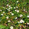 Bild :