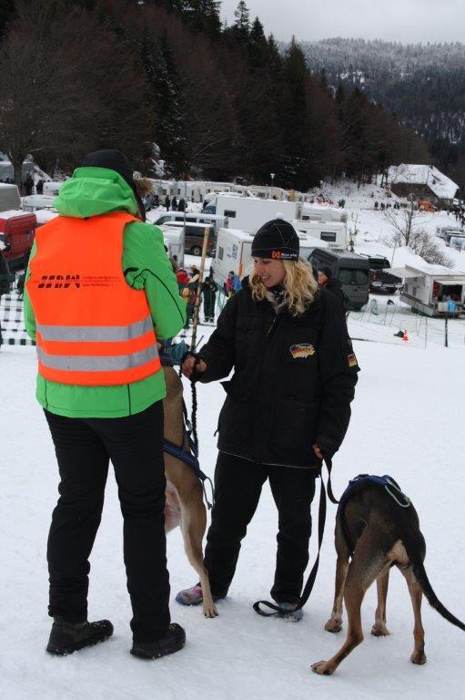 Bild 32: Das Internationale Schlittenhunderennen in Todtmoos 2019 in Bildern