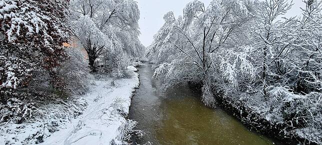 Bild 22: Was für ein Wintereinbruch am Bodensee: Die schönsten Schnee-Bilder vom Wochenende