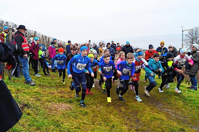 Bild 26: Bilder vom Crosslauf Hegau-Bodensee in den Reben oberhalb der Haltnau