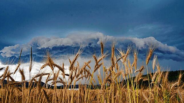 Eine beeindruckende Gewitterwolke am Sonntagabend gegen 20 Uhr über Grießen. Nur Minuten später sollte sie sich als Gewitter mit ...