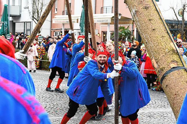 Narrenbaumstellen, Singen