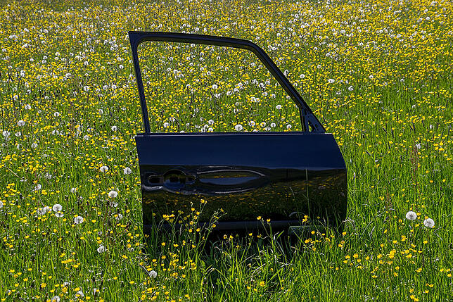 Blumenwiese am Höchsten: „Seit meinem 14. Lebensjahr fotografiere ich mit unterschiedlicher Intensität. Die vier jährlich ...