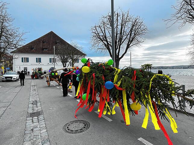 Bild 18: Die schönsten Bilder vom Überlinger Umzug mit Narrenbaum