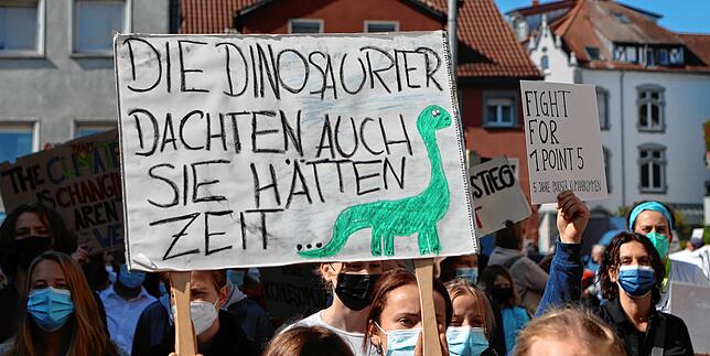 Bild 6: Fridays for Future setzten in Konstanz ein Zeichen: Rund 5000 Menschen schließen sich einem Protestzug durch die Innenstadt an