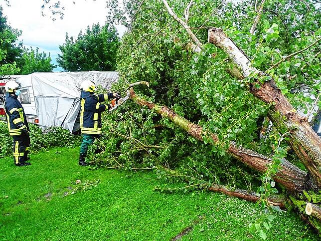 Zunächst war unklar, ob sich noch Personen im Wohnwagen/Zelt befinden. Erst nachdem die Oberen Teile des Baumes zersägt wurden, konnte ...