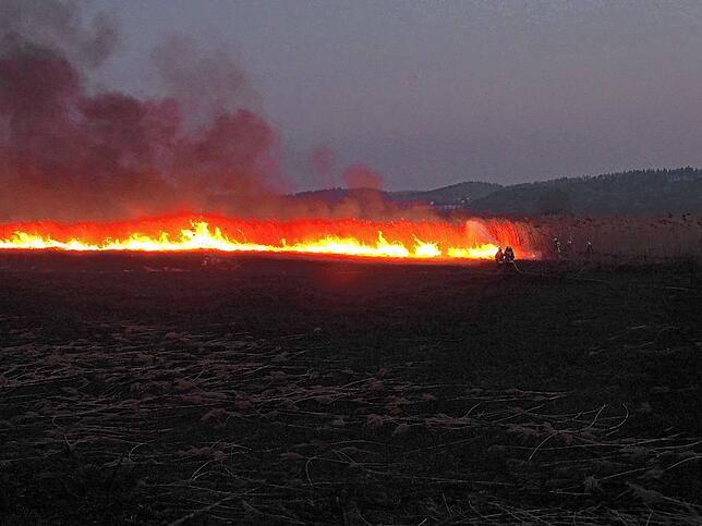 25.000 Quadratmeter wurden ein Raub der Flammen.