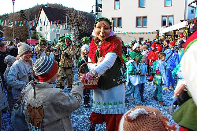 Bild 9: 56 Zünfte am Start beim Kleggau-Narrentreffen - hier die Bilder