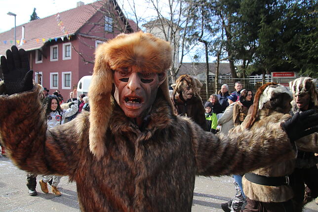 Bild 1: Bilder zum Narrentreffen in Schwerzen (1)
