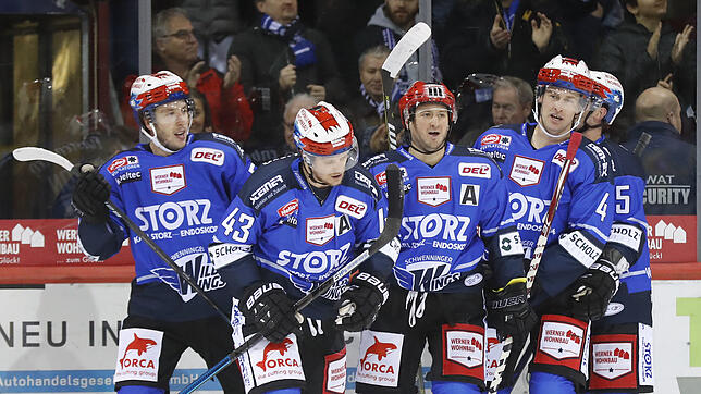 Endlich wieder Eishockey: Die Schwenninger Wild Wings nehmen im November am Vorbereitungsturnier teil.