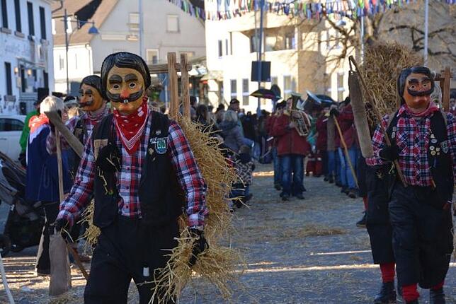 Bild 17: Bilder vom Narrentreffen der Urviecher-Zunft Bad Dürrheim: Großer Festumzug (5)
