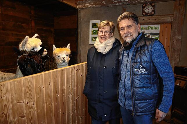 „Unsere Alpakas gehören zur Familie“, sagen die Halter Barbara Schrenk und Manfred Hoffmann.