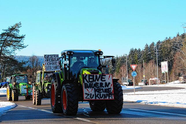Bild 24: Bauern protestieren gegen Sparpläne: Bilder vom Traktorkorso zur Brauerei Rothaus