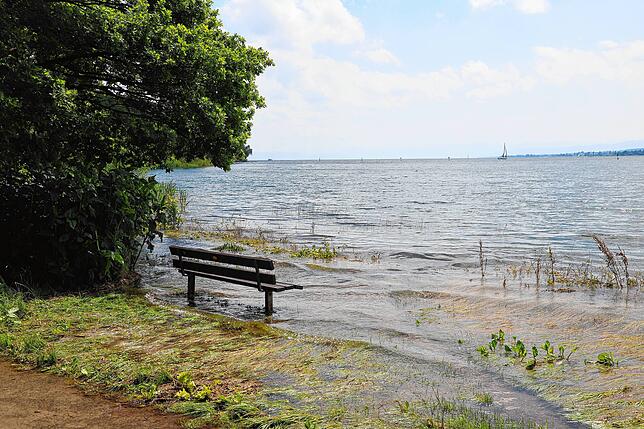 Bild 21: Hochwasser am Bodensee: Wasserstand vor Konstanz erneut über fünf Metern