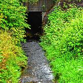 Weil der Durchlass unter dieser Brücke zu klein dimensioniert war und gemähtes Gras ein Schmutzfanggitter verstopfte, konnte das ...