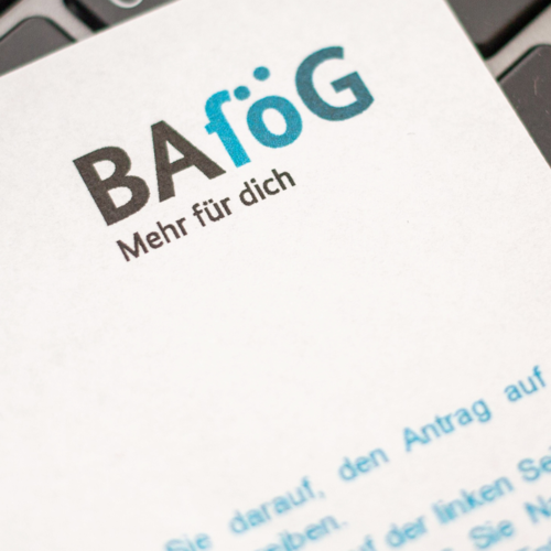 Bild :