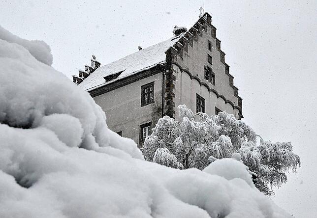 Bild 8: Die schönsten Bilder vom verschneiten Markdorf