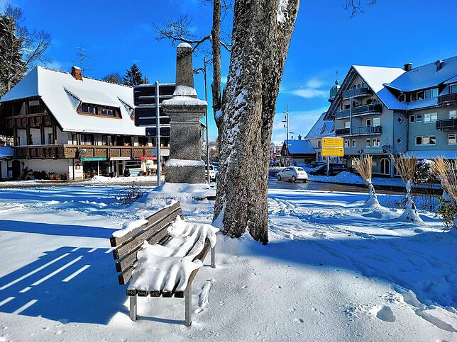 Bild 1: Der Winter hat zugeschlagen Teil 1