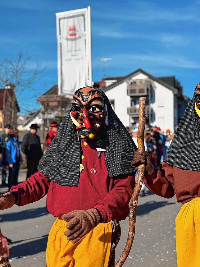 Bild 3: Fasnacht 2025: Alle Bilder vom Gemeinschaftsumzug in Mühlhofen
