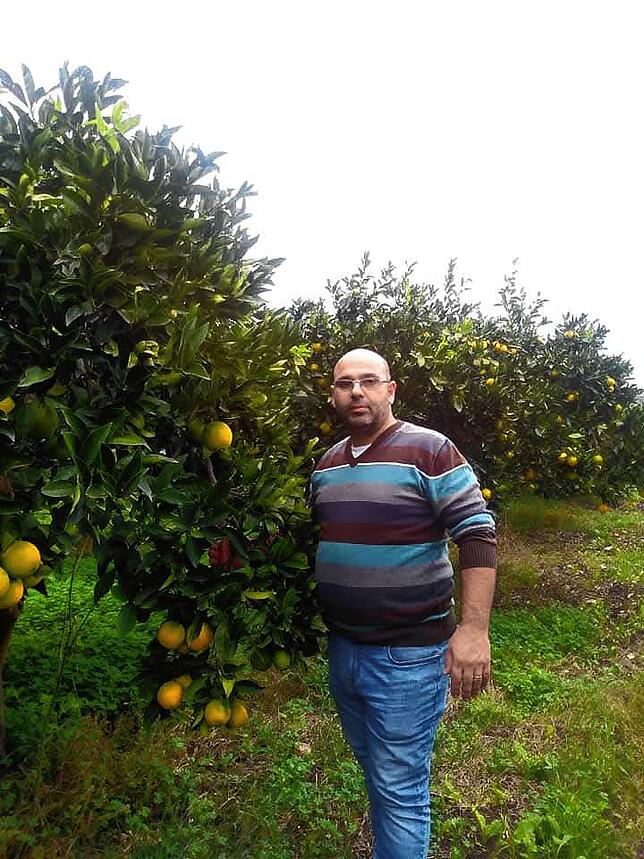 Adriano Scroppo hat mit 90 Kisten angefangen, heute verkauft er jährlich rund 5000 Kisten mit sizilianischen Orangen.
