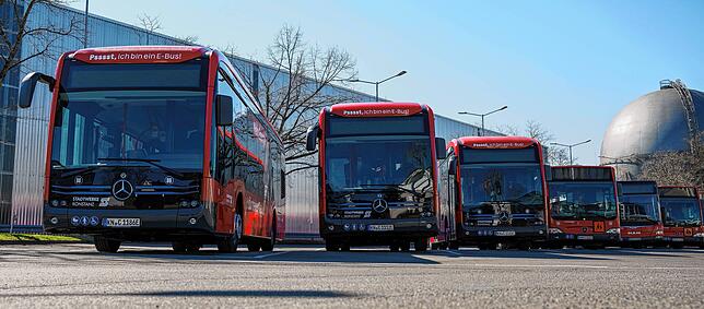 Die bisherige Elektrobusflotte der Stadtwerke