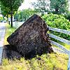 In der Fürstenbergstraße in Donaueschingen ist ein Baum samt des Rasenstückes aus der Erde gerissen.