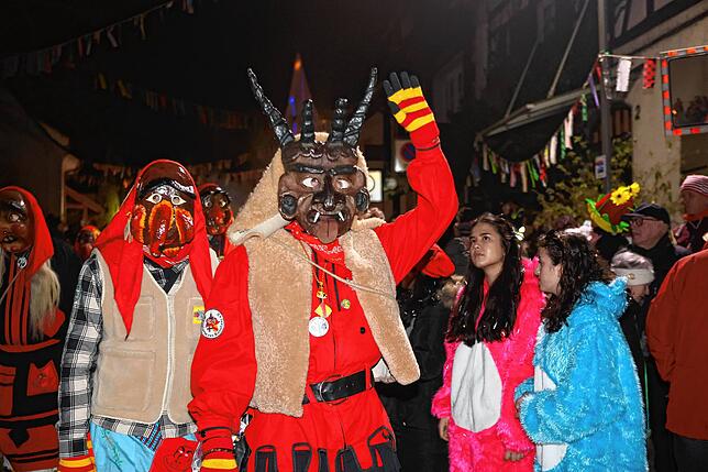 Bild 11: Nachtumzug Möggingen 2025: Fasnacht in Bildern – 30 Gruppen in voller Pracht