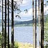 Sommeridylle herrscht am Schluchsee, bei schönem Wetter ist der Stausee ein beliebtes Ausflugsziel. Segler und Betreiber des ...