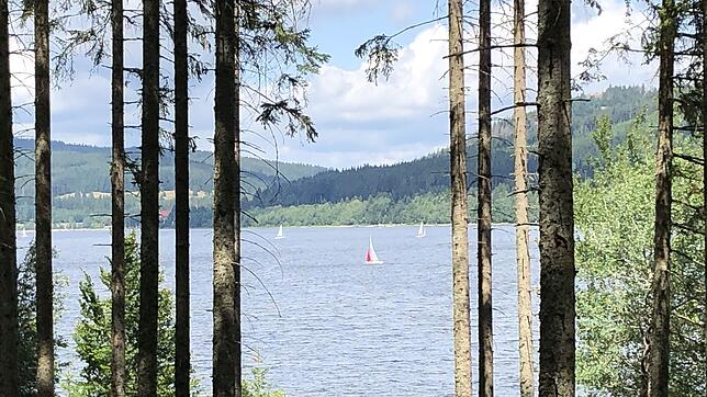Sommeridylle herrscht am Schluchsee, bei schönem Wetter ist der Stausee ein beliebtes Ausflugsziel. Segler und Betreiber des ...