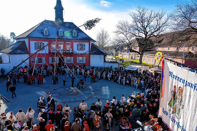 Bild 15: So wird der Narrenbaum am Samstag beim Narrentreffen in Bad Dürrheim aufgestellt!