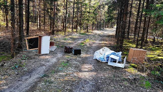 Bild : Schweinerei im VS-Wald: Unbekannte entsorgen Wohnungseinrichtung in unserer schönen Natur