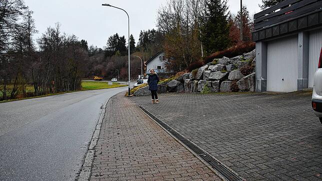 Im Begegnungsverkehr weichen Lastwagen mitunter in voller Geschwindigkeit in die Hofeinfahrt aus. Nicht einmal auf dem eigenen Hof sei ...
