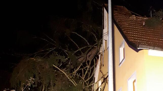 Die Feuerwehren aus Stetten a.k.M. und Storzingen waren im Einsatz: Eine Tanne war auf ein Wohnhaus gefallen.