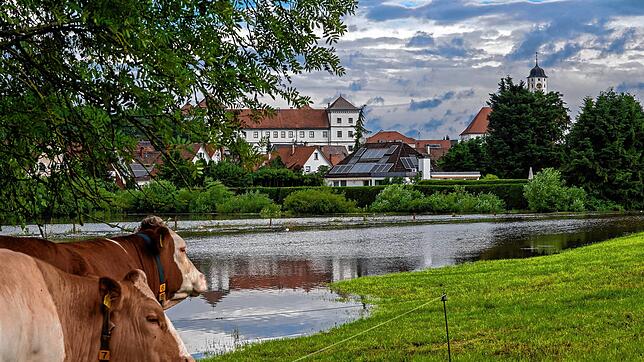 Die Idylle trügt: Auch vor Meßkirch stand das Wasser im Bereich Schnerkingen.