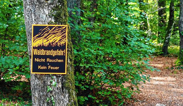 Im Landkreis Waldshut besteht wegen der langanhaltenden Trockenheit derzeit erhöhte Waldbrandgefahr. (Archivbild April 2021)