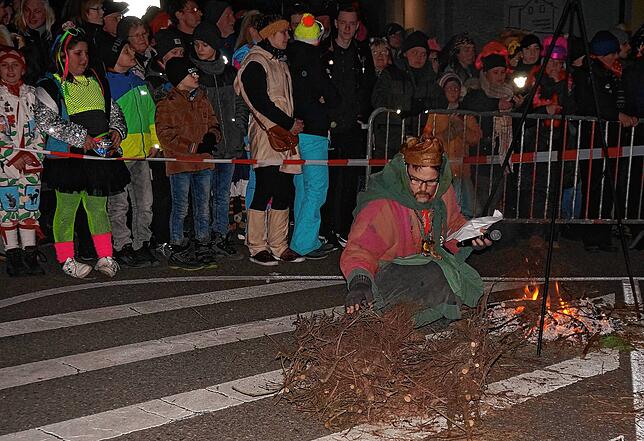 Bild 1: Die schönsten Bilder des großen Hochrhein-Narrentreffens in Tiengen (Teil 2)
