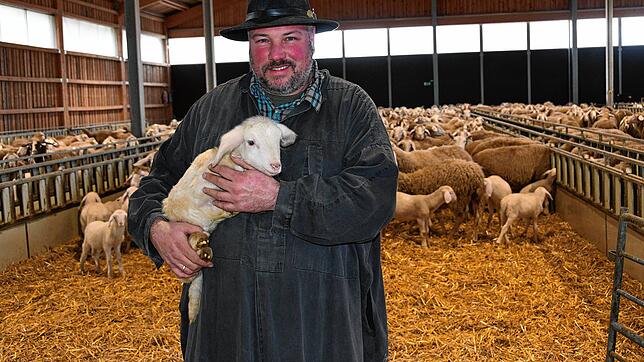 Das Osterlamm von morgen ist heute schon auf der Welt: Schäfer Michael Thonnet von der Domäne Hohentwiel mit Jungtier, im Hintergrund ...