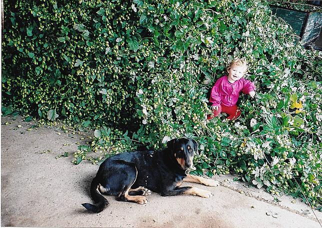 Schon als Kind mittendrin: Bewacht vom Hofhund sitzt Christiane in einem Haufen mit frisch geerntetem Hopfen.